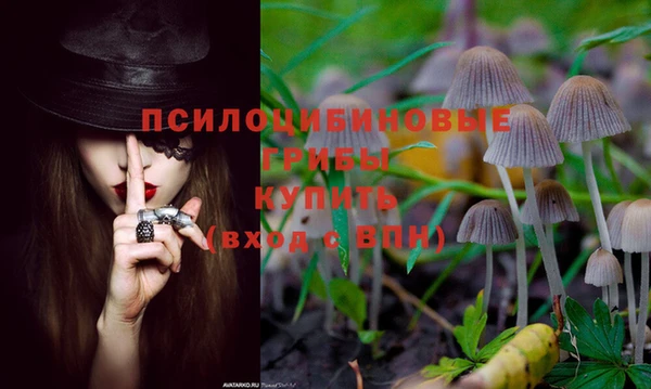 ALPHA-PVP Дмитриев