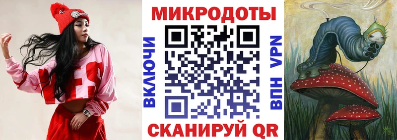 Псилоцибиновые грибы Psilocybe  Дубна 
